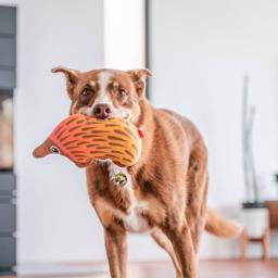 Red Dingo Durables Hållbar Gosedjur Myrpiggsvinet Eddie